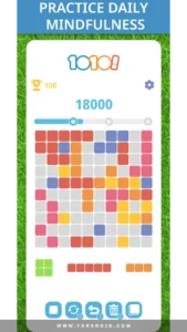 A-1010-Block-Puzzle-Game 4