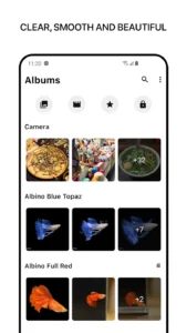 1Gallery 6