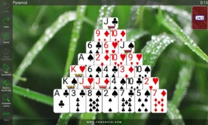 A-250-Solitaire-Collection 12