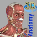3D Anatomy logo