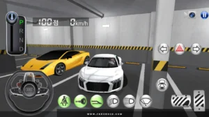 3D-Driving-Class 3