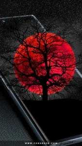 3D-Live-Wallpapers-4D-video-4K 3