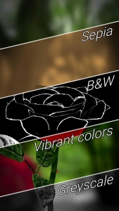 3D-Rose-Live-Wallpaper 4