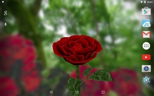 3D-Rose-Live-Wallpaper 6