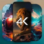 4K Wallpapers - Auto Wallpaper Changer logo