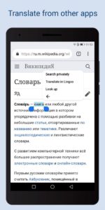 ABBYY-Lingvo-Dictionaries 6
