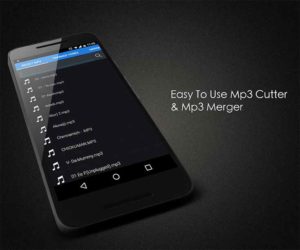 Accountlab-MP3-Cutter 4