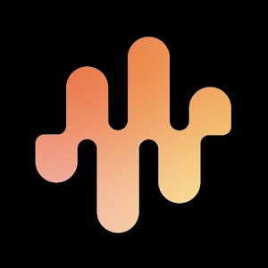 AirVid Pro logo