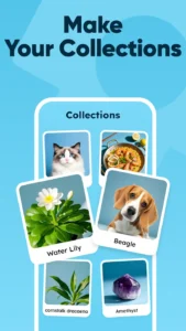 All-Scanner-AI-Identifier 8