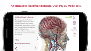 Anatomy-Physiology 5