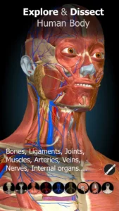 Anatomy-Learning-3D-Anatomy 1