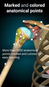 Anatomy-Learning-3D-Anatomy 3