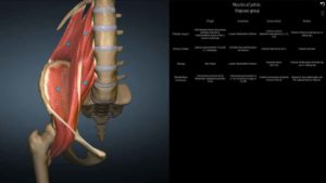 AnatomyLearning-3D-OFFLINE-FULL-UNLOCKED 4