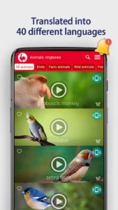 Animals-Ringtones 3