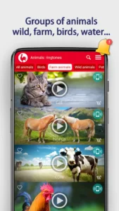 Animals-Ringtones 4