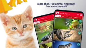 Animals-Ringtones 9