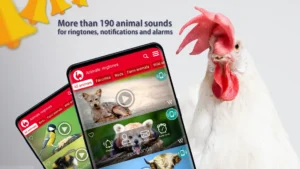 Animals-Ringtones 10