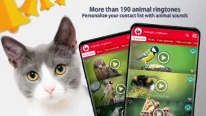 Animals-Ringtones 11