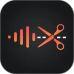 Any Ringtones logo