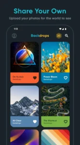 Backdrops-Wallpapers 5