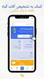 Baghboon 5