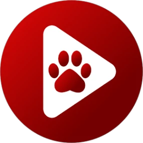 Bear Player logo