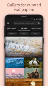 Bing-Wallpapers 2