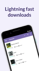 BitTorrent-Downloads 1