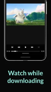 BitTorrent-Downloads 5