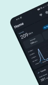 Bitvelo-internet-speed-meter 2