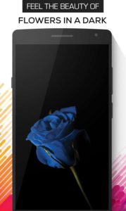 Blacker-Wallpapers-in-4K 3