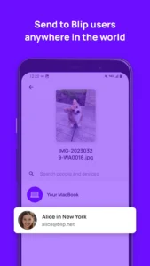 Blip-File-Transfer 1