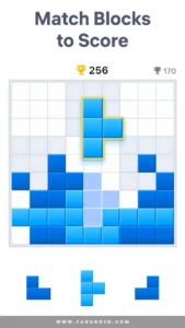 BlockuDoku 1