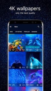 Blue-Wallpapers-Pro 1