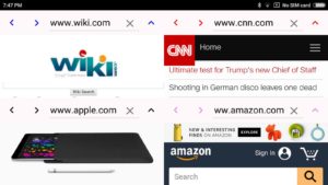 BrowserX4 1