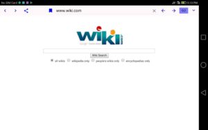 BrowserX4 6