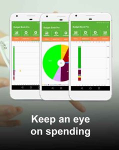 Budget-Book-Pro-Personal-Finance-Budget-Manager 3