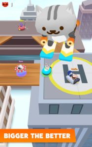 Bumper-Cats 5