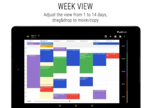 Business-Calendar-2 9