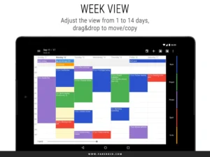 Business-Calendar-2 18