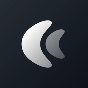 CHIC LIGHT Icon Pack logo