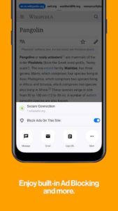 Cake-Web-Browser 4