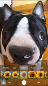 Cameringo-Filters-Camera 7