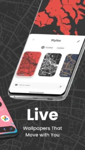 Cartogram-Live-Map-Wallpaper 5