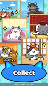 Cat-Condo-2 3