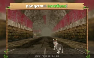 Cat-Sim-Online 6