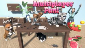Cat-Simulator-and-friends 3