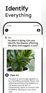 Chat-AI-for-DeepSeek 6