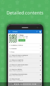 Chess-King 7