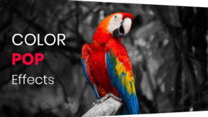 Color-Pop-Effects 1